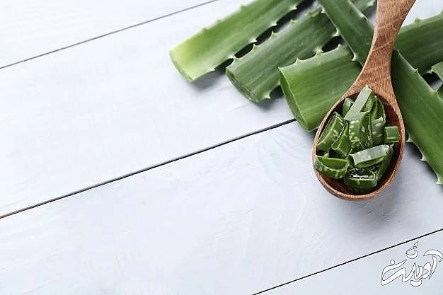 درمان تبخال لب با آلوئه ورا آلوئه ورا